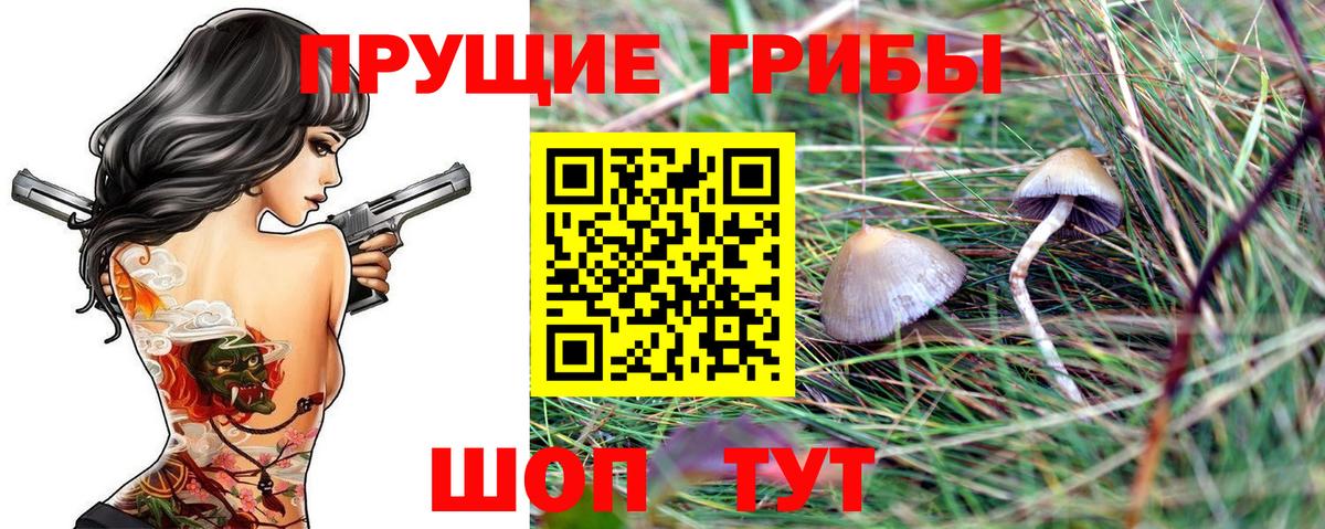 Галлюциногенные грибы Magic Shrooms  Вход с VPN  Кирово-Чепецк 